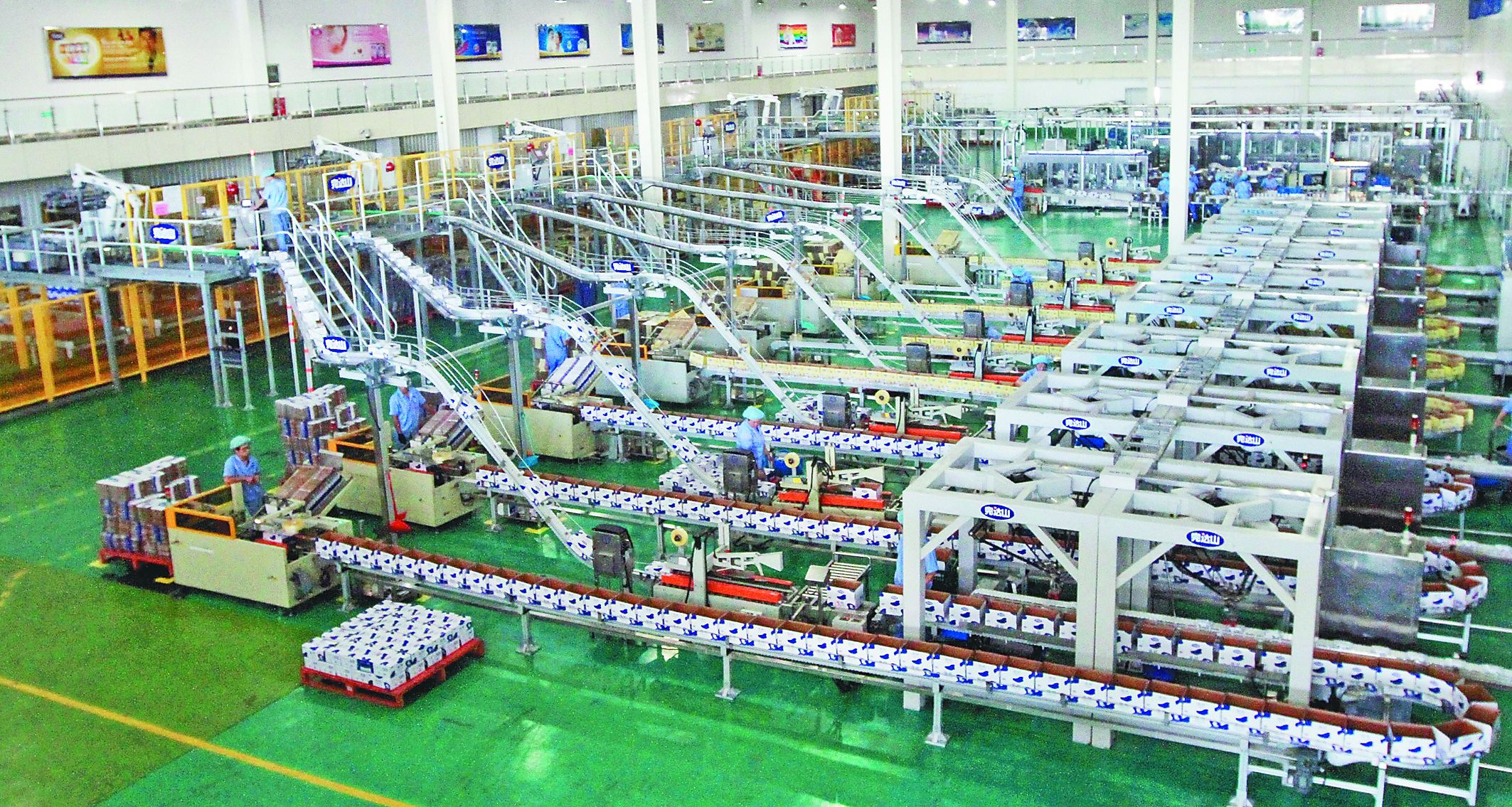 packaging equipment production line